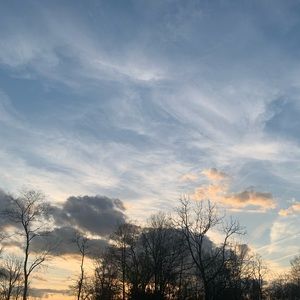 Meet your Posher, Jocelyn